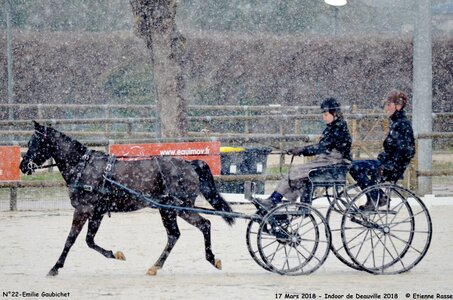 2018-03-17 Indoor de Deauvile-Epreuves du Samedi, 22-DSC_4123