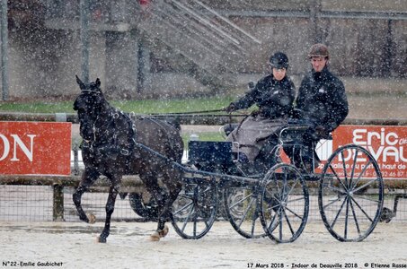 2018-03-17 Indoor de Deauvile-Epreuves du Samedi, 22-DSC_4135