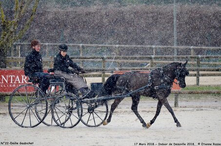 2018-03-17 Indoor de Deauvile-Epreuves du Samedi, 22-DSC_4157