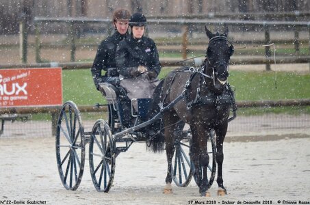 2018-03-17 Indoor de Deauvile-Epreuves du Samedi, 22-DSC_4169