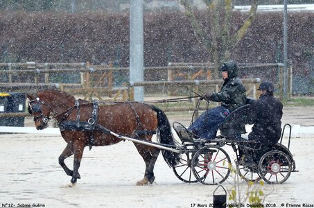 2018-03-17 Indoor de Deauvile-Epreuves du Samedi, 12-DSC_3915