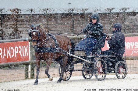2018-03-17 Indoor de Deauvile-Epreuves du Samedi, 12-DSC_3918