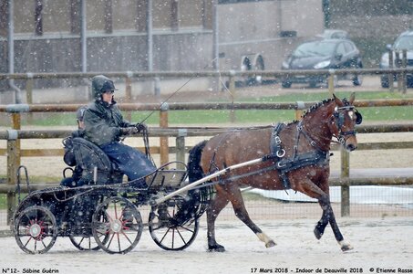 2018-03-17 Indoor de Deauvile-Epreuves du Samedi, 12-DSC_3923