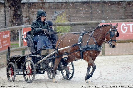 2018-03-17 Indoor de Deauvile-Epreuves du Samedi, 12-DSC_3925