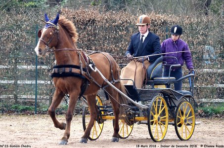 2018-03-18 Indoor Deauville - CCA Clubs, 23-DSC_4255