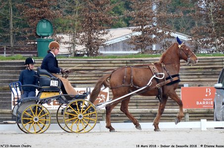 2018-03-18 Indoor Deauville - CCA Clubs, 23-DSC_4262