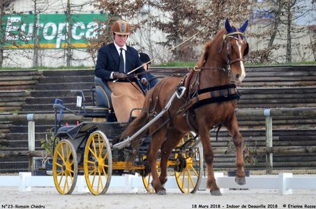 2018-03-18 Indoor Deauville - CCA Clubs, 23-DSC_4267