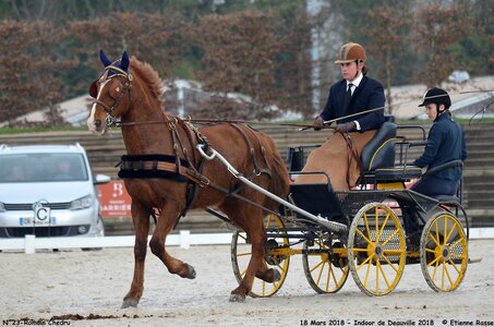 2018-03-18 Indoor Deauville - CCA Clubs, 23-DSC_4284