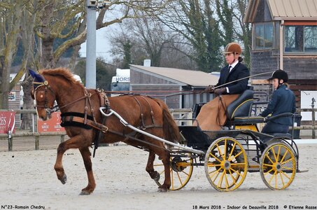2018-03-18 Indoor Deauville - CCA Clubs, 23-DSC_4285