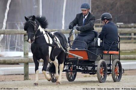 2018-03-18 Indoor Deauville - CCA Clubs, 25-DSC_4313