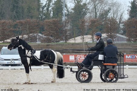 2018-03-18 Indoor Deauville - CCA Clubs, 25-DSC_4323