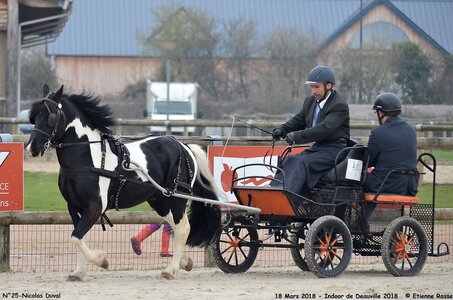 2018-03-18 Indoor Deauville - CCA Clubs, 25-DSC_4325