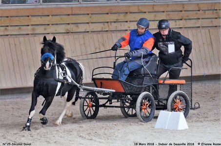 2018-03-18 Indoor Deauville - CCA Clubs, 25-DSC_4880