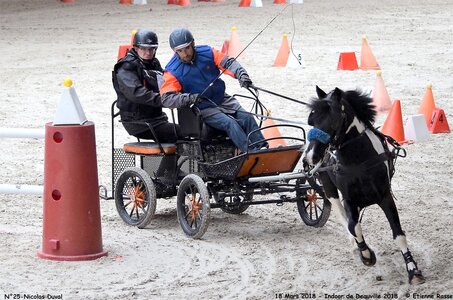 2018-03-18 Indoor Deauville - CCA Clubs, 25-DSC_4889