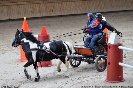 2018-03-18 Indoor Deauville - CCA Clubs, 25-DSC_4891
