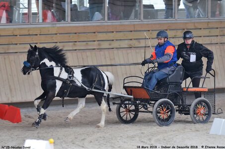 2018-03-18 Indoor Deauville - CCA Clubs, 25-DSC_4899