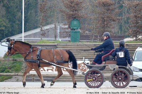2018-03-18 Indoor Deauville - CCA Clubs, 27-DSC_4335