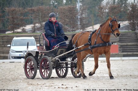 2018-03-18 Indoor Deauville - CCA Clubs, 27-DSC_4336