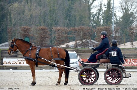 2018-03-18 Indoor Deauville - CCA Clubs, 27-DSC_4347