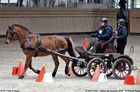 2018-03-18 Indoor Deauville - CCA Clubs, 27-DSC_4914