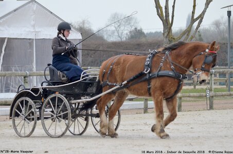 2018-03-18 Indoor Deauville - CCA Clubs, 28-DSC_4354