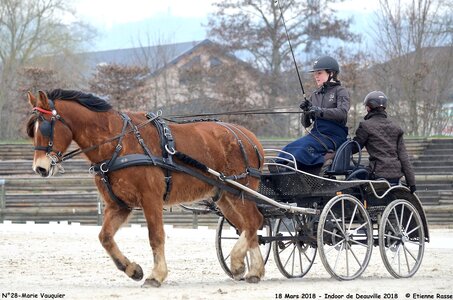 2018-03-18 Indoor Deauville - CCA Clubs, 28-DSC_4356