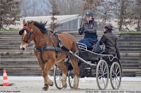 2018-03-18 Indoor Deauville - CCA Clubs, 28-DSC_4360