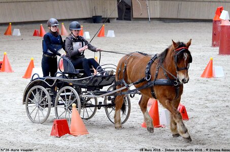 2018-03-18 Indoor Deauville - CCA Clubs, 28-DSC_4930