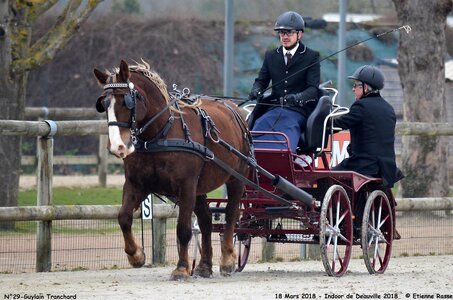 2018-03-18 Indoor Deauville - CCA Clubs, 29-DSC_4365