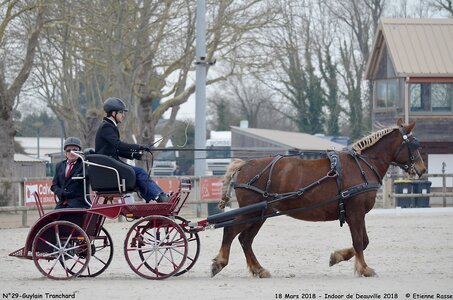 2018-03-18 Indoor Deauville - CCA Clubs, 29-DSC_4366