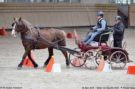 2018-03-18 Indoor Deauville - CCA Clubs, 29-DSC_4948