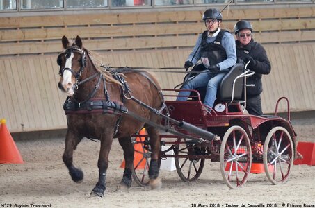 2018-03-18 Indoor Deauville - CCA Clubs, 29-DSC_4957