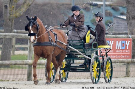 2018-03-18 Indoor Deauville - CCA Clubs, 30-DSC_4373
