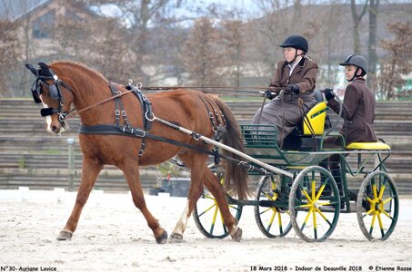 2018-03-18 Indoor Deauville - CCA Clubs, 30-DSC_4374