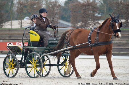 2018-03-18 Indoor Deauville - CCA Clubs, 30-DSC_4376