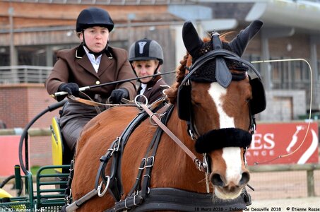 2018-03-18 Indoor Deauville - CCA Clubs, 30-DSC_4380
