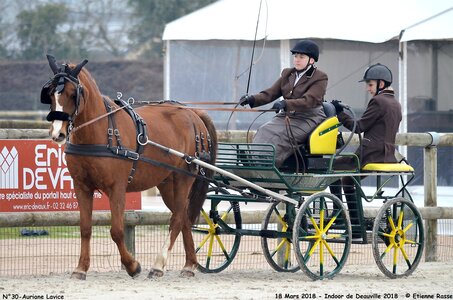 2018-03-18 Indoor Deauville - CCA Clubs, 30-DSC_4382