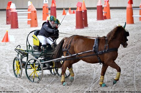 2018-03-18 Indoor Deauville - CCA Clubs, 30-DSC_4979