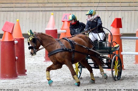 2018-03-18 Indoor Deauville - CCA Clubs, 30-DSC_4984