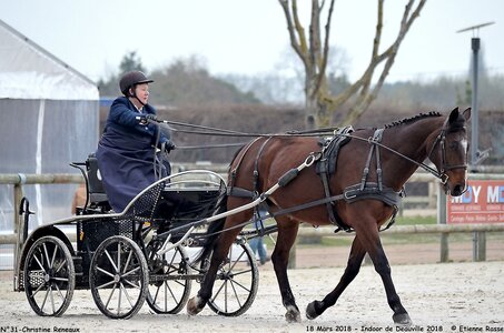 2018-03-18 Indoor Deauville - CCA Clubs, 31-DSC_4383