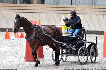 2018-03-18 Indoor Deauville - CCA Clubs, 31-DSC_5006