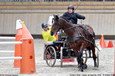 2018-03-18 Indoor Deauville - CCA Clubs, 31-DSC_5012