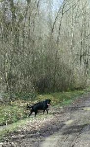 Frontenac 24/03/18, P_20180324_150307_11