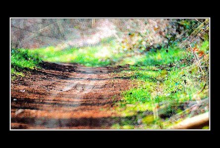 A la recherche d'un peu d'abstraxion (sic), Paysages 500mm 12