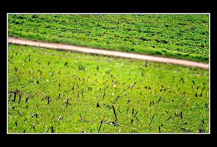 A la recherche d'un peu d'abstraxion (sic), Paysages 500mm 16