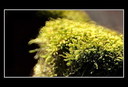 A la recherche d'un peu d'abstraxion (sic), Paysages 500mm 20