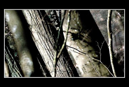 A la recherche d'un peu d'abstraxion (sic), Paysages 500mm 25