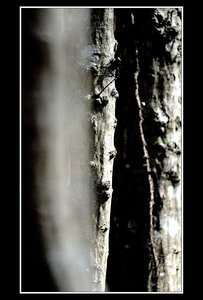 A la recherche d'un peu d'abstraxion (sic), Paysages 500mm 32