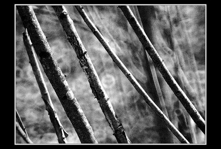A la recherche d'un peu d'abstraxion (sic), Paysages 500mm 33