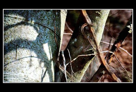 A la recherche d'un peu d'abstraxion (sic), Paysages 500mm 35